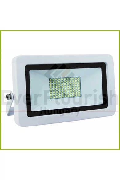 LED fényvető "Flare" 30W fehér 2550lm 6500K IP65